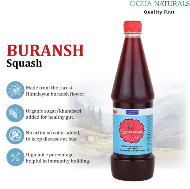 Buransh Squash - Image 5