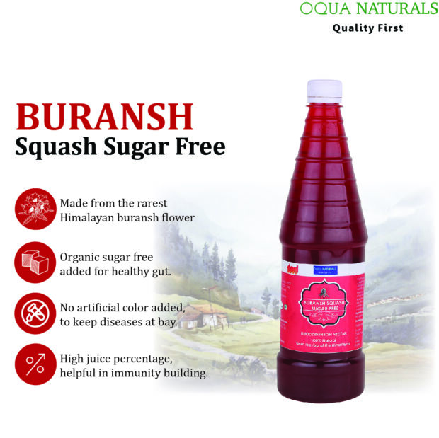 Buransh Squash Sugar Free - Image 5
