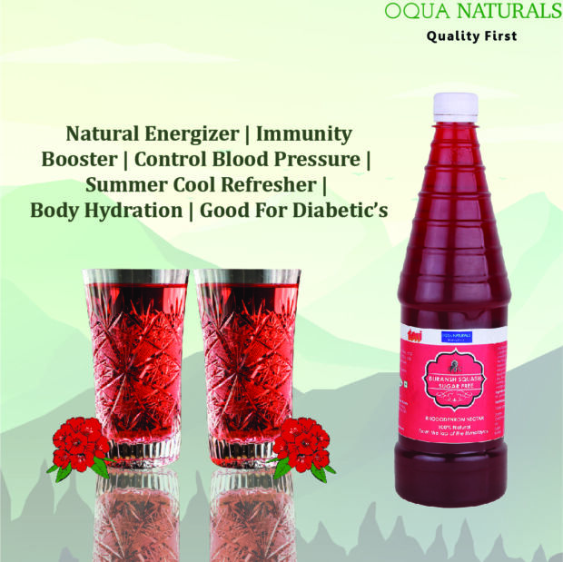 Buransh Squash Sugar Free - Image 6