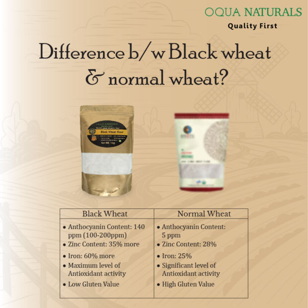 Black Wheat Flour - Image 5