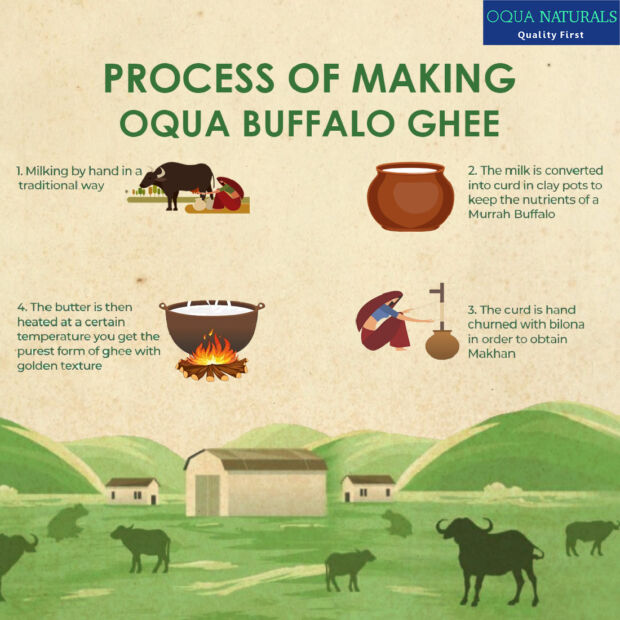 Buffalo Ghee 410gm - Image 6