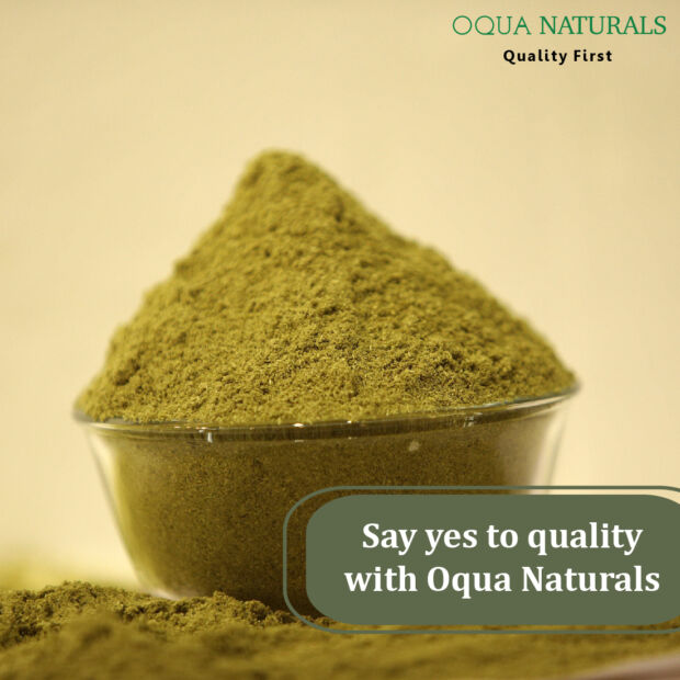 Freshly Grounded Coriander Powder 250 gm - Image 6