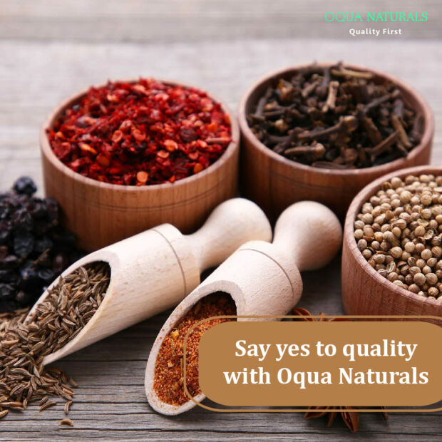 OQUA NATURALS Special Khada Masala - Image 6