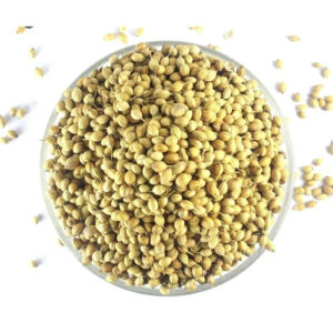 Dhania Sabot Coriander Whole